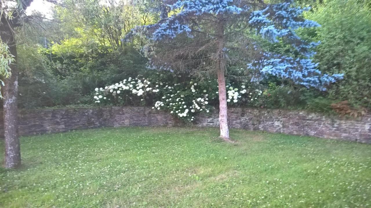 B&B Le Nid Doux Vresse-sur-Semois Bagian luar foto
